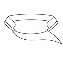 Sports 002 collar type